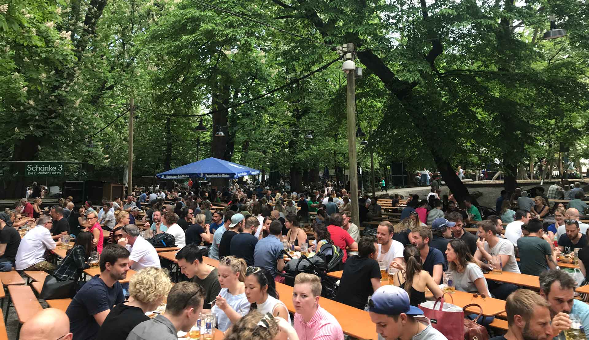 Top Beer Tour Munich: Must-Visit Breweries, Beer Halls & Gardens